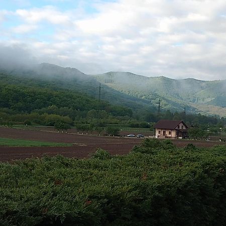 Vila Gosen Sard Esterno foto